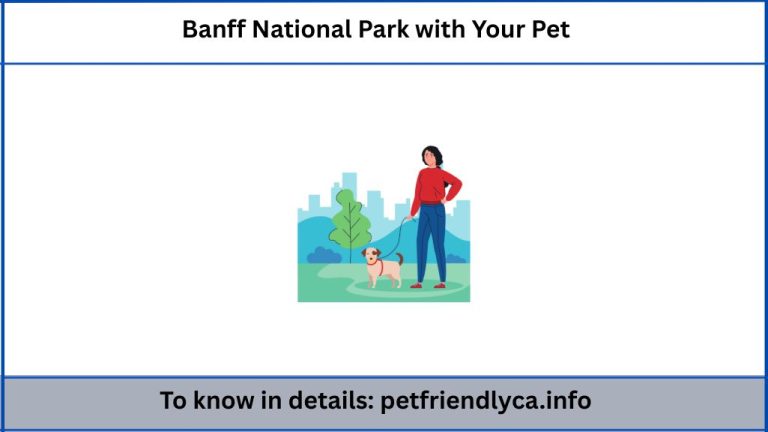 Banff National Park with Your Pet