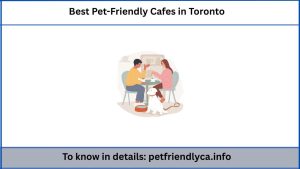 Best Pet-Friendly Cafes in Toronto