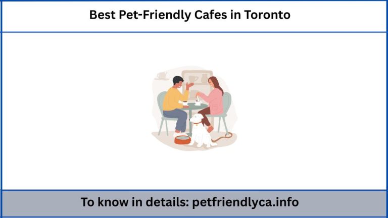 Best Pet-Friendly Cafes in Toronto