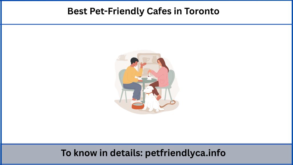 Best Pet-Friendly Cafes in Toronto