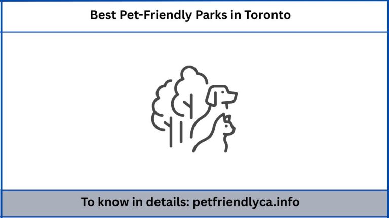 Best Pet-Friendly Parks in Toronto