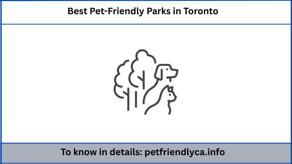 Best Pet-Friendly Parks in Toronto