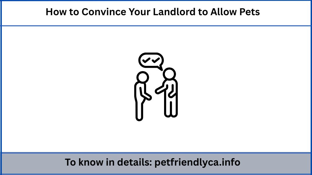 How to Convince Your Landlord to Allow Pets