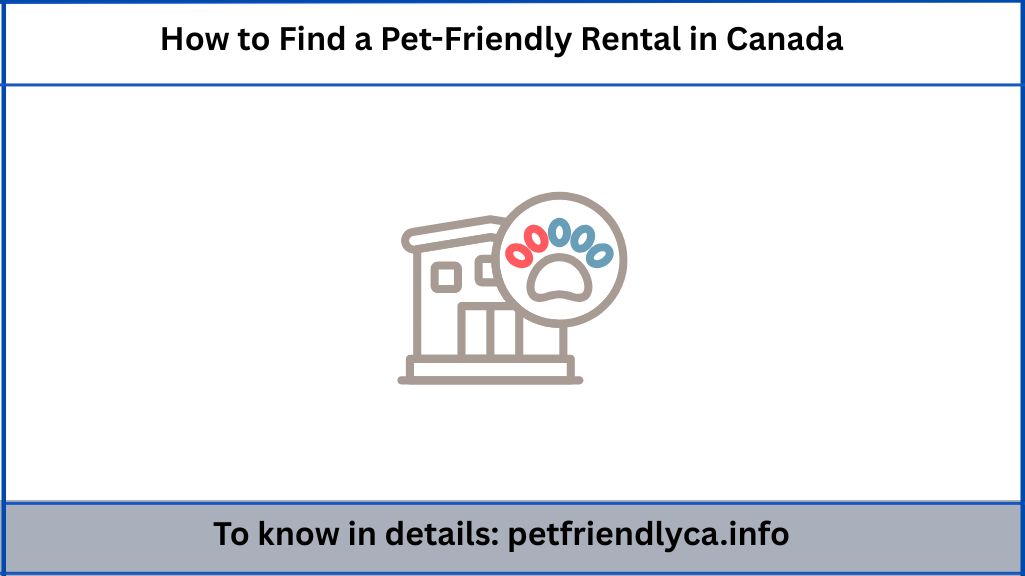 How to Find a Pet-Friendly Rental in Canada: Real Estate Sites + Offline Tips