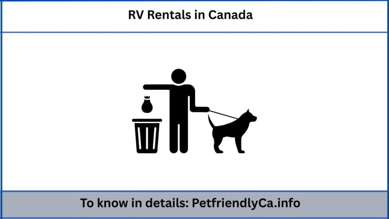 RV Rentals in Canada: How to Travel with Your Pet Without Losing Your Mind