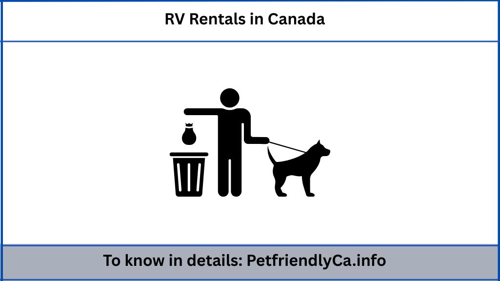 RV Rentals in Canada: How to Travel with Your Pet Without Losing Your Mind