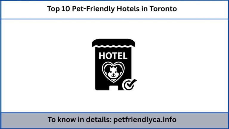Top 10 Pet-Friendly Hotels in Toronto