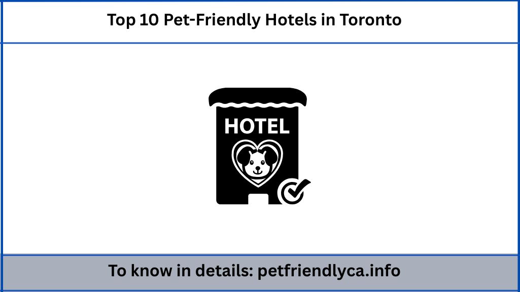 Top 10 Pet-Friendly Hotels in Toronto