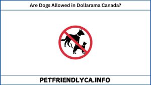 Are Dogs Allowed in Dollarama Canada