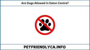 Are Dogs Allowed in Eaton Centre​