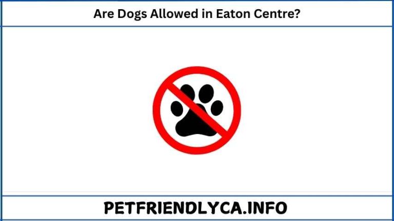 Are Dogs Allowed in Eaton Centre​