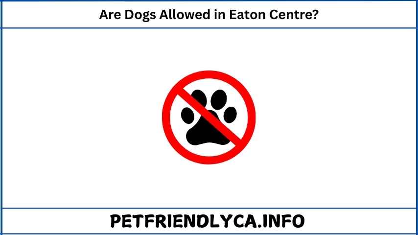 Are Dogs Allowed in Eaton Centre​