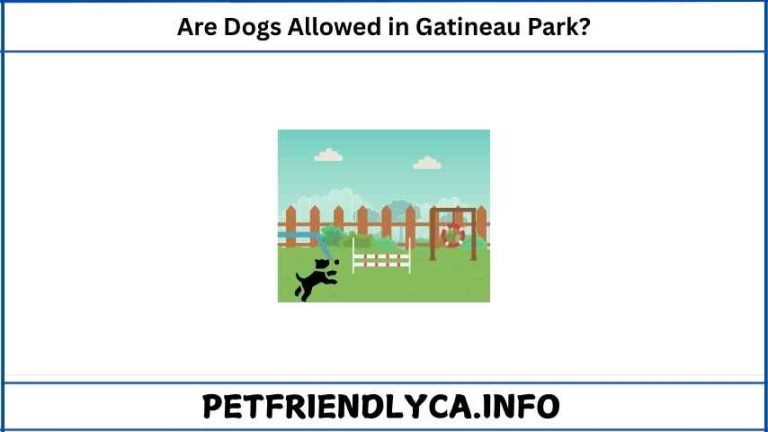 Are Dogs Allowed in Gatineau Park