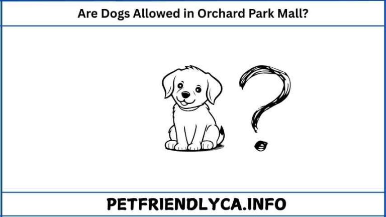 Are Dogs Allowed in Orchard Park Mall