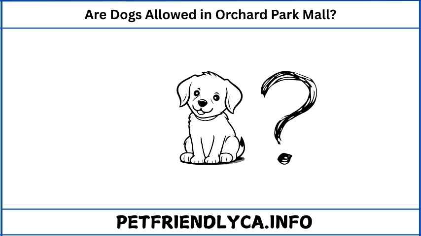 Are Dogs Allowed in Orchard Park Mall