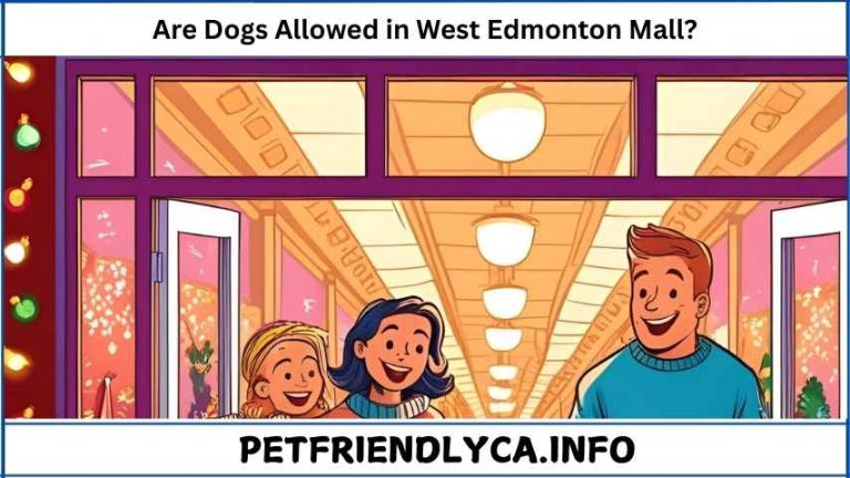 Are Dogs Allowed in West Edmonton Mall
