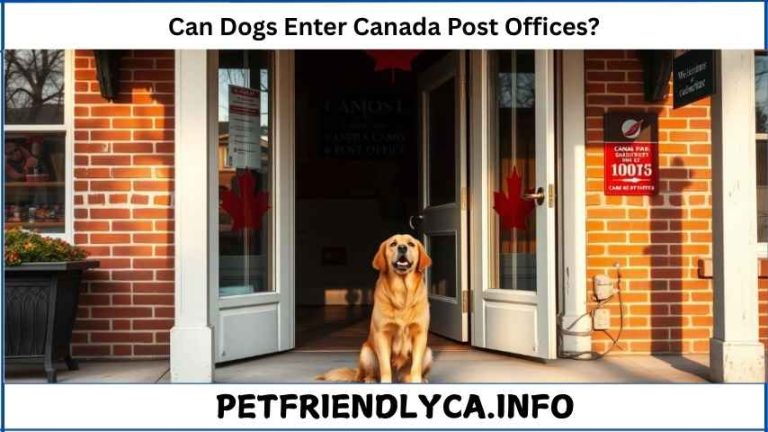 Can Dogs Enter Canada Post Offices
