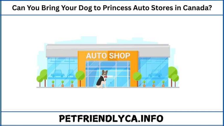 Can You Bring Your Dog to Princess Auto Stores in Canada