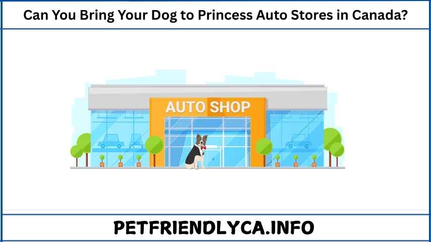 Can You Bring Your Dog to Princess Auto Stores in Canada