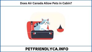 Does Air Canada Allow Pets in Cabin