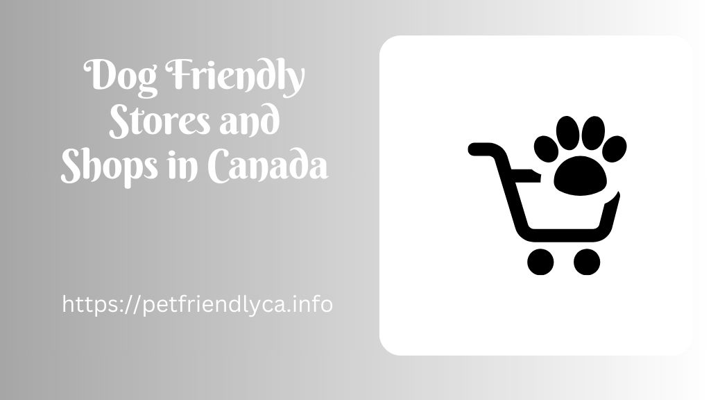 Dog Friendly Stores and Shops in Canada