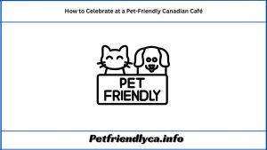 How to Celebrate at a Pet-Friendly Canadian Café(Dog Birthday Party)