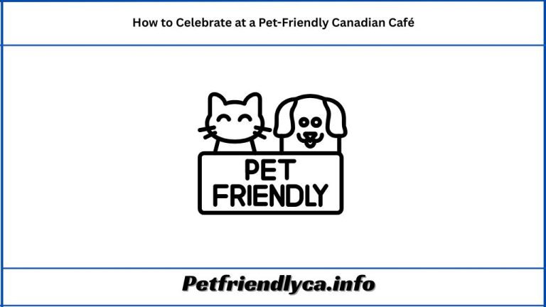 How to Celebrate at a Pet-Friendly Canadian Café(Dog Birthday Party)