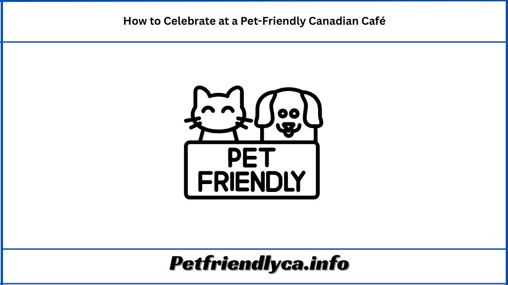 How to Celebrate at a Pet-Friendly Canadian Café(Dog Birthday Party)