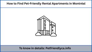 How to Find Pet-Friendly Rental Apartments in Montréal