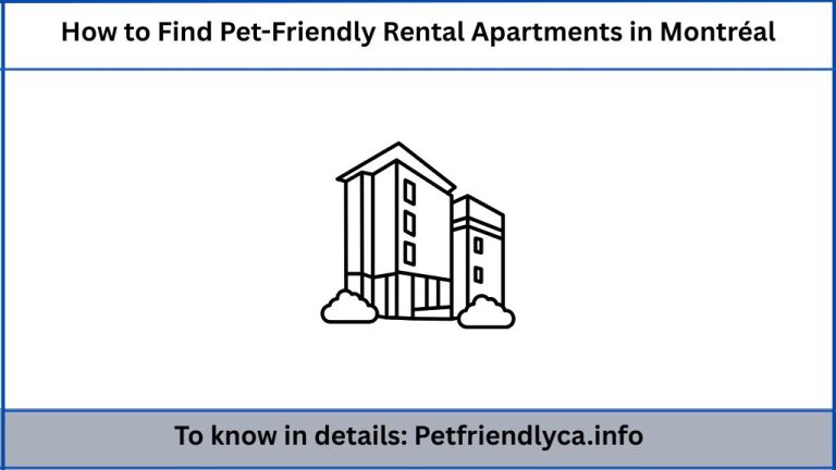How to Find Pet-Friendly Rental Apartments in Montréal