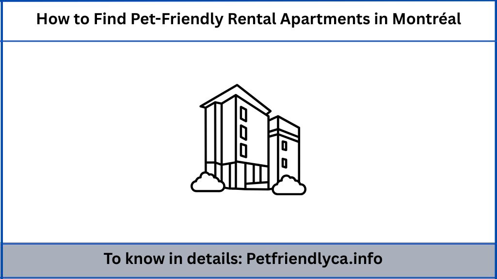 How to Find Pet-Friendly Rental Apartments in Montréal