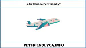 Is Air Canada Pet Friendly