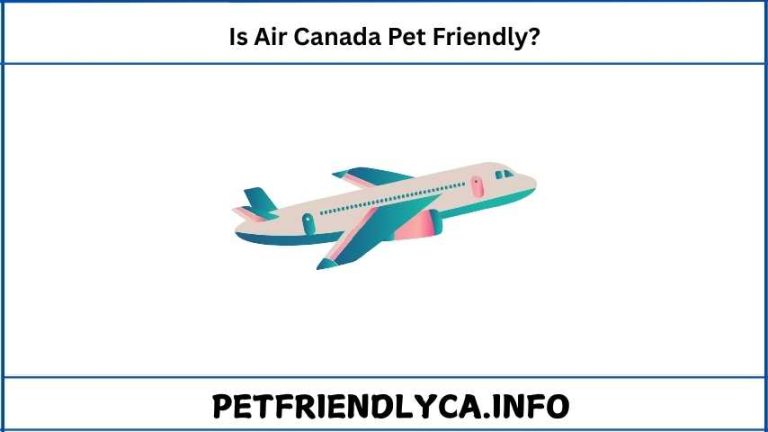 Is Air Canada Pet Friendly