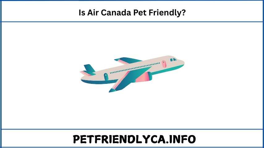 Is Air Canada Pet Friendly