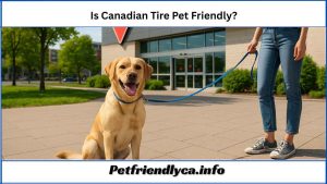 Is Canadian Tire Pet Friendly