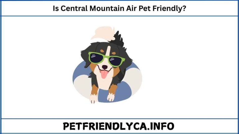 Is Central Mountain Air Pet Friendly