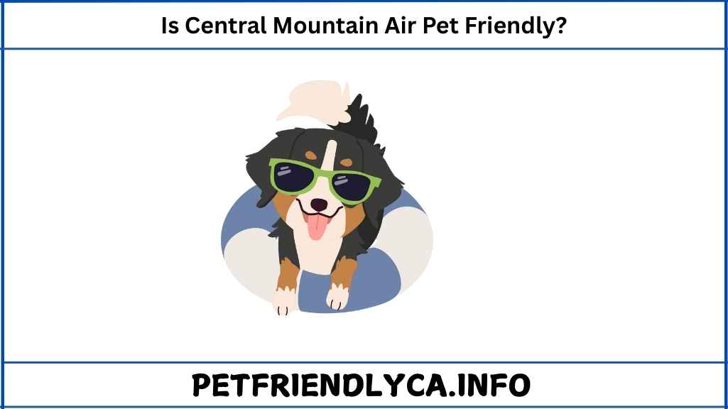 Is Central Mountain Air Pet Friendly
