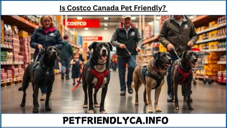 Is Costco Canada Pet Friendly