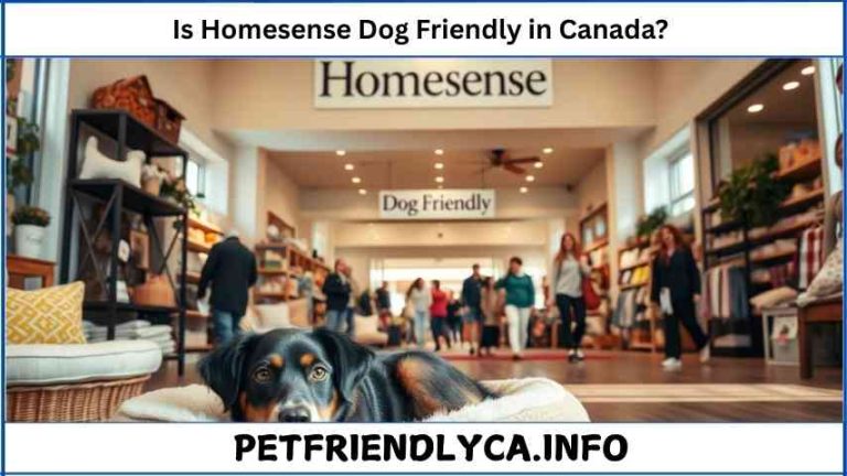 Is Homesense Dog Friendly in Canada
