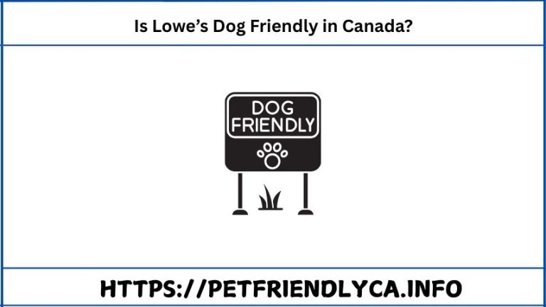 Is Lowe’s Dog Friendly in Canada