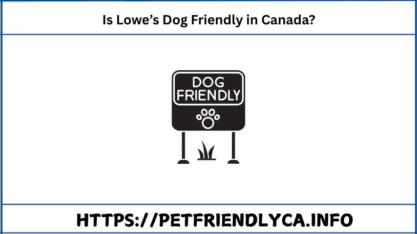 Is Lowe’s Dog Friendly in Canada