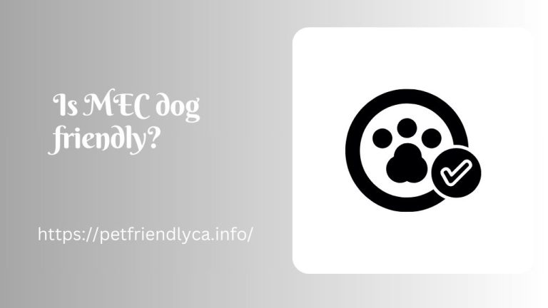 Is MEC dog friendly​