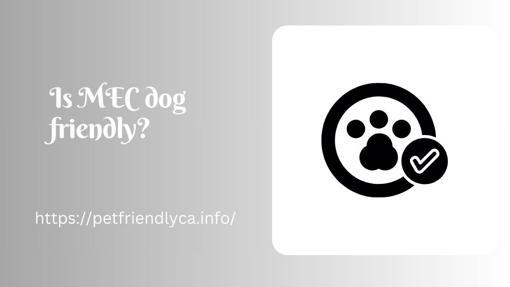 Is MEC dog friendly​
