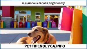 Is Marshalls Canada Dog Friendly
