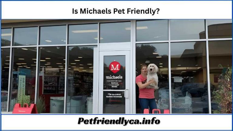 Is Michaels Pet Friendly
