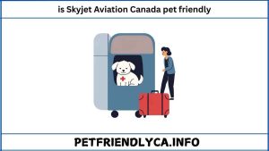 Is Skyjet Aviation Canada Pet Friendly