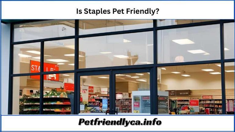 Is Staples Pet Friendly
