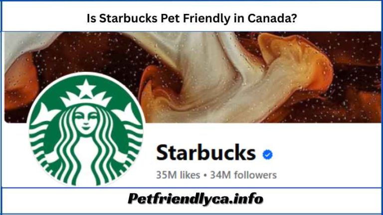 Is Starbucks Pet Friendly in Canada