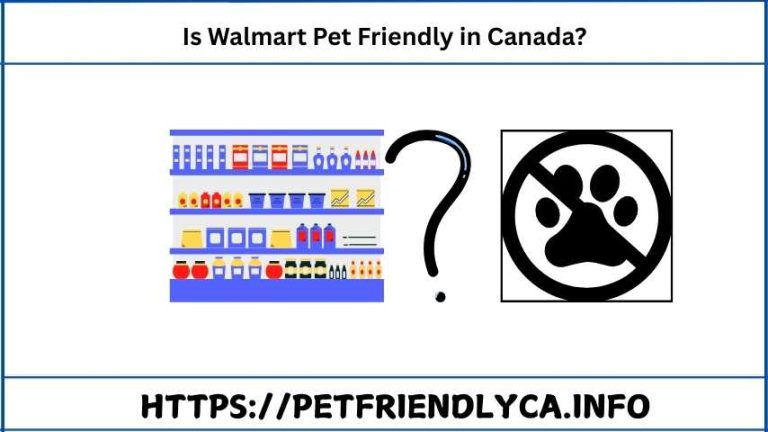 Is Walmart Pet Friendly in Canada