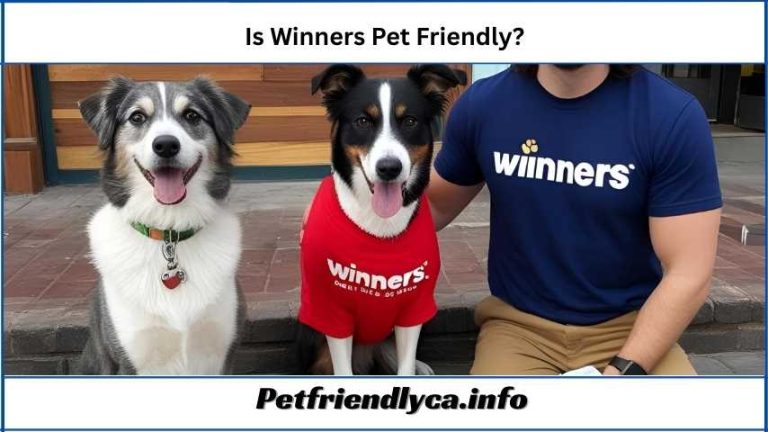 Is Winners Pet Friendly